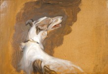 German Emperor Wilhelm II, King of Prussia; Study of a Borzoi Dog for the Full Length Portrait (Recto) 3113