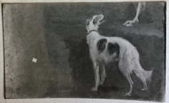 German Emperor Wilhelm II, King of Prussia; Study of a Borzoi Dog for the Full Length Portrait (Verso) 112392