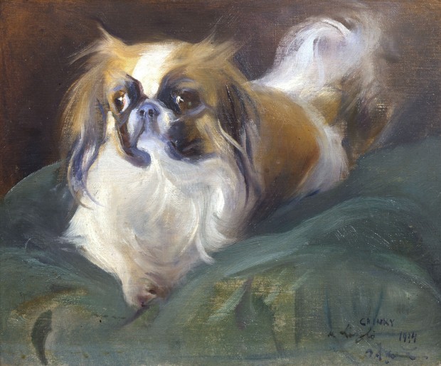 Chinky, Philip de László’s Pekinese Dog 11036