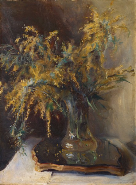Still Life: A Spray of Mimosa Flowers and Foliage 13194